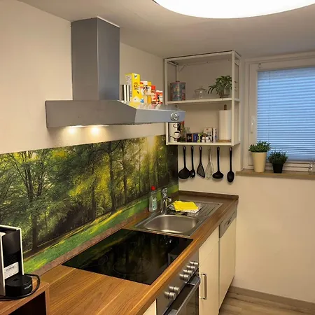 Löwenstein Apartment *